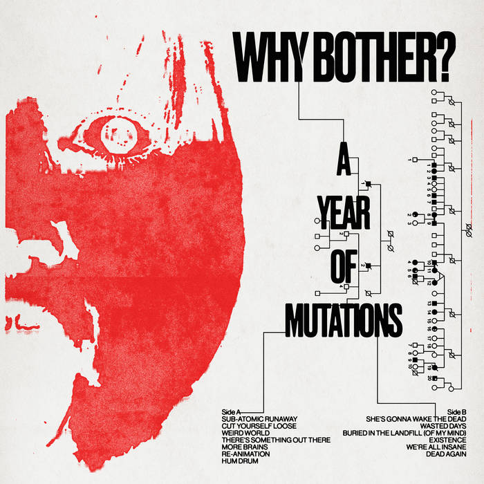 Why Bother ? - A Year of Mutations LP