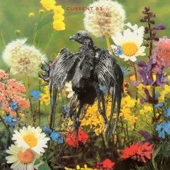 CURRENT 93 - SWASTIKAS FOR NODDY PIC LP